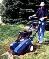 stump grinder service